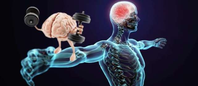 什么是肌肉记忆？它起到什么作用？