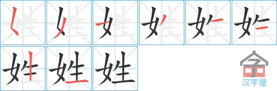 《姓》的笔顺分步演示（一笔一画写字）