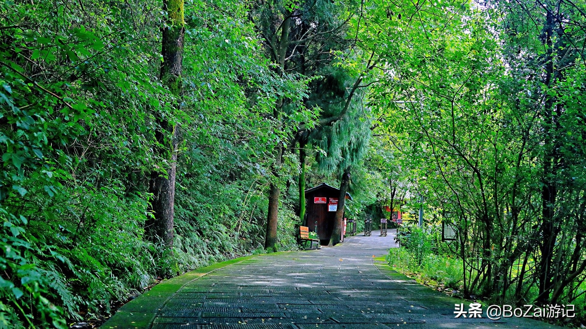 到四川南充市旅游不能错过的21个景点，你去过几个？最爱哪个景点