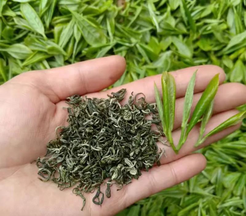 中国最贵的十大天价茶，这喝的还是茶吗？这明明是红票子