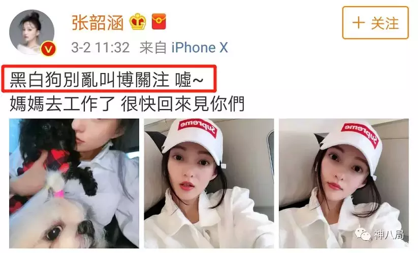 曾经的清纯傻大姐范玮琪，如今怎么变成万人嘲体质了？