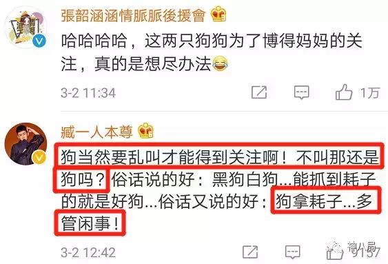 曾经的清纯傻大姐范玮琪，如今怎么变成万人嘲体质了？