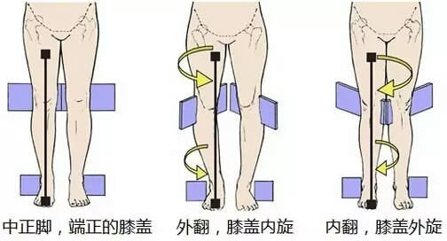 饭后15分钟金刚坐，消食又瘦腿，堪比30分钟有氧健身