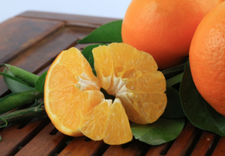 沃柑是橘子还是橙子 是由橙子和橘子杂交来的