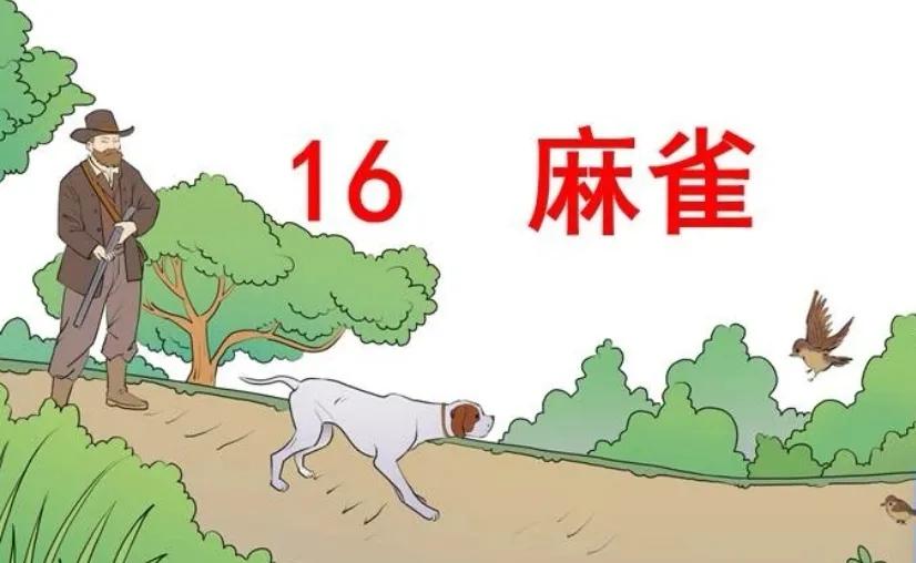 聊一聊作文的提纲or思维导图