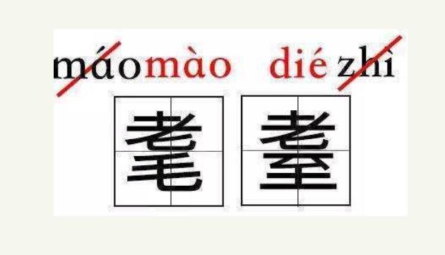 “耄耋”二字怎么读？复旦大学女神陈果因读错而遭微词