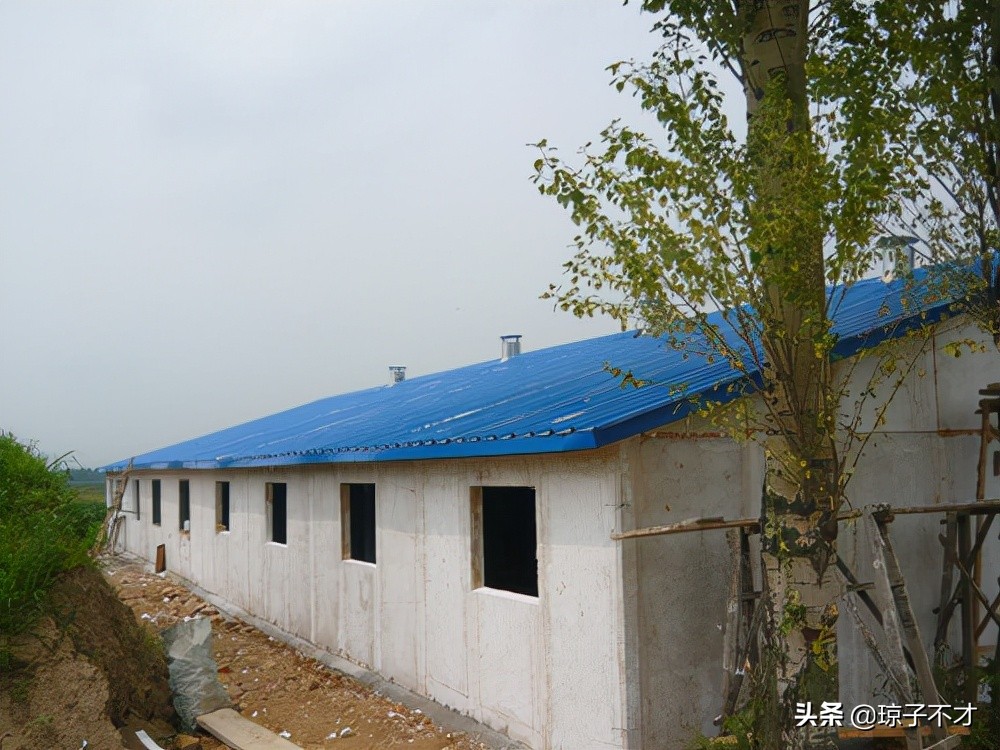 养羊建设圈舍，用彩钢瓦建设的羊舍成本是多少