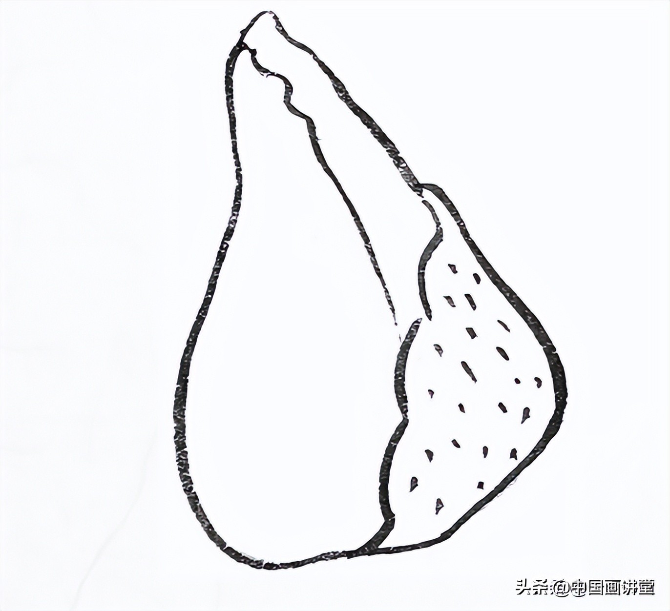 白描玉兰花与桃花画法，简单易上手