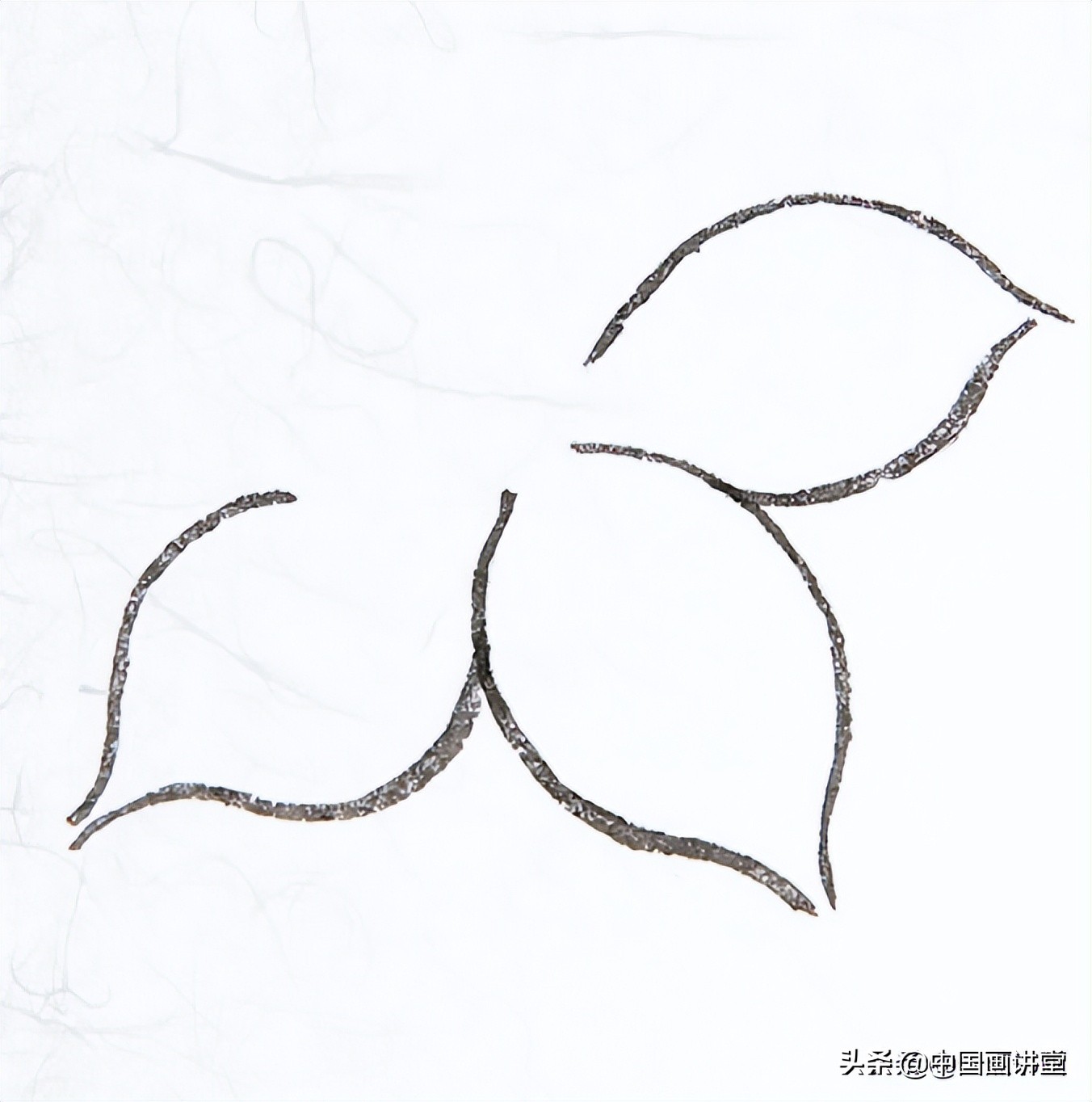 白描玉兰花与桃花画法，简单易上手