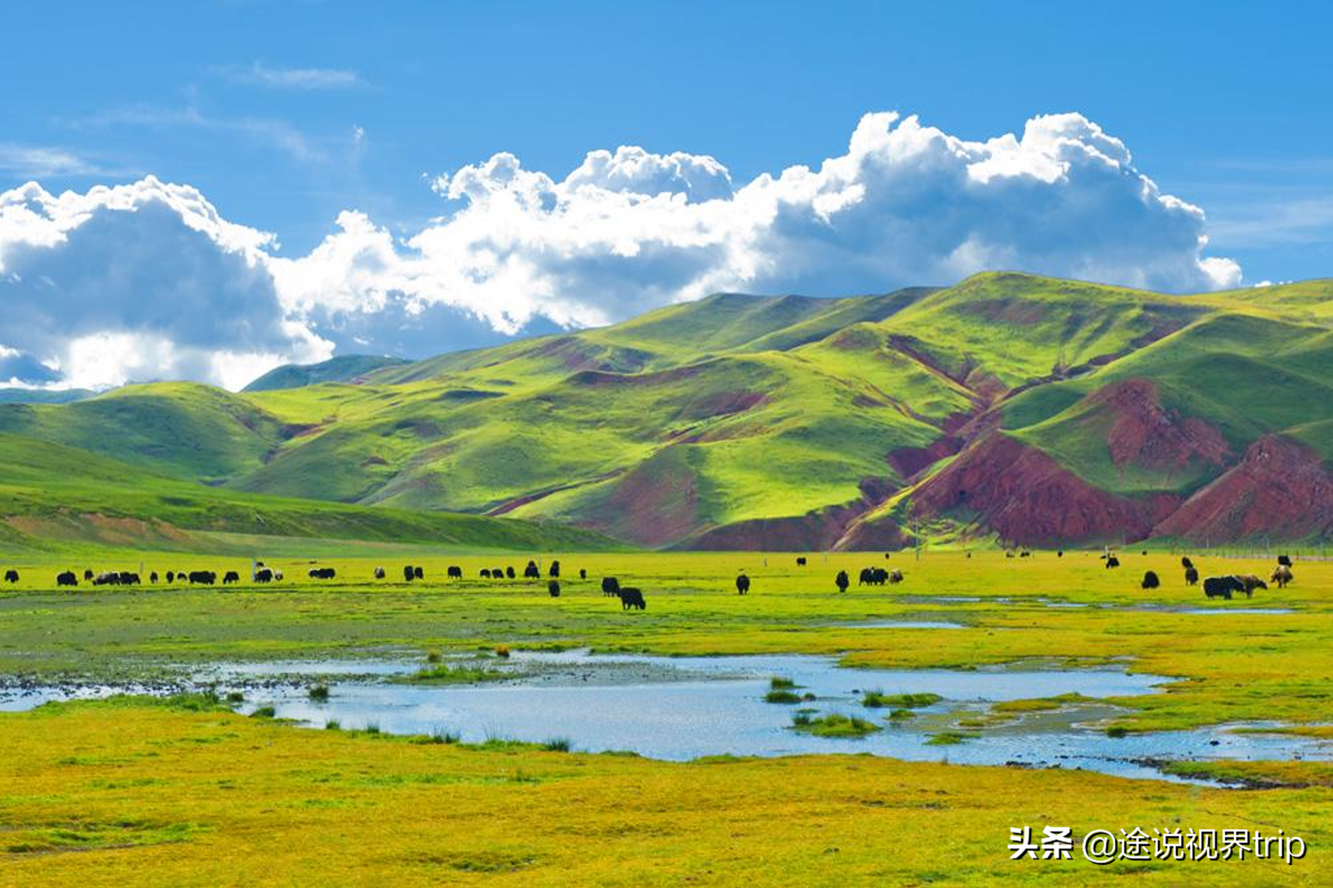 中国面积最大的十个州市排名，个个大到超乎想象，你知道哪几个？