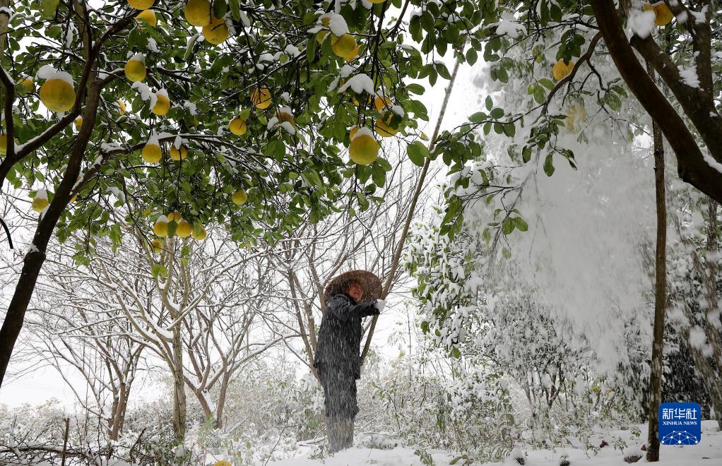 全国多地迎降雪