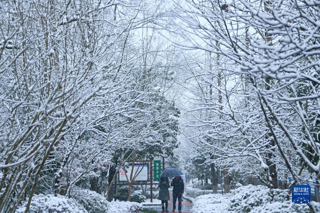 全国多地迎降雪