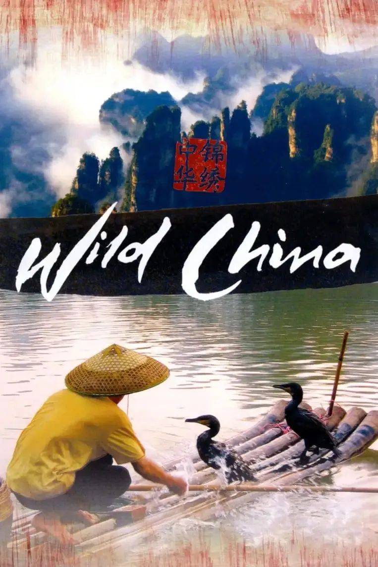 值得N刷的10部纪录片，感受中国式浪漫