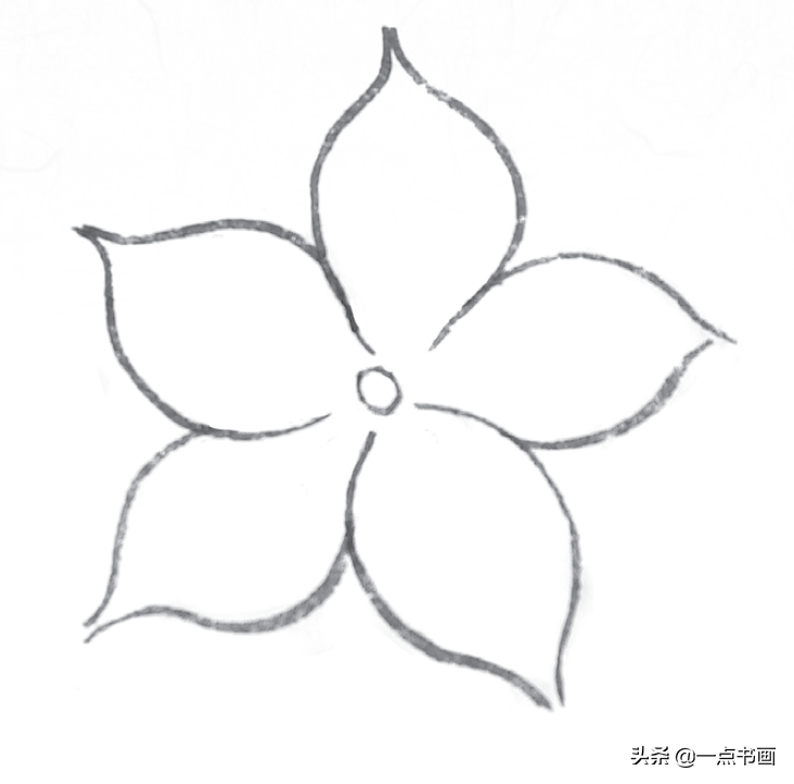 白描玉兰花与桃花画法，简单易上手