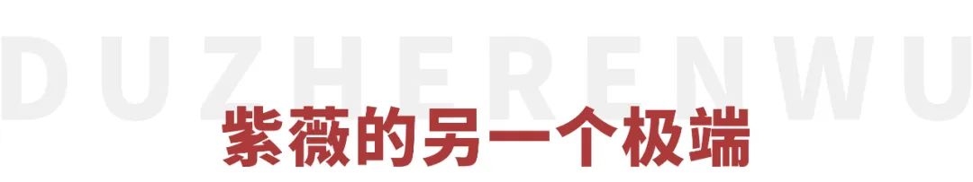 从“全民女神”被骂到“关评论”，被反噬的林心如如今怎么样了