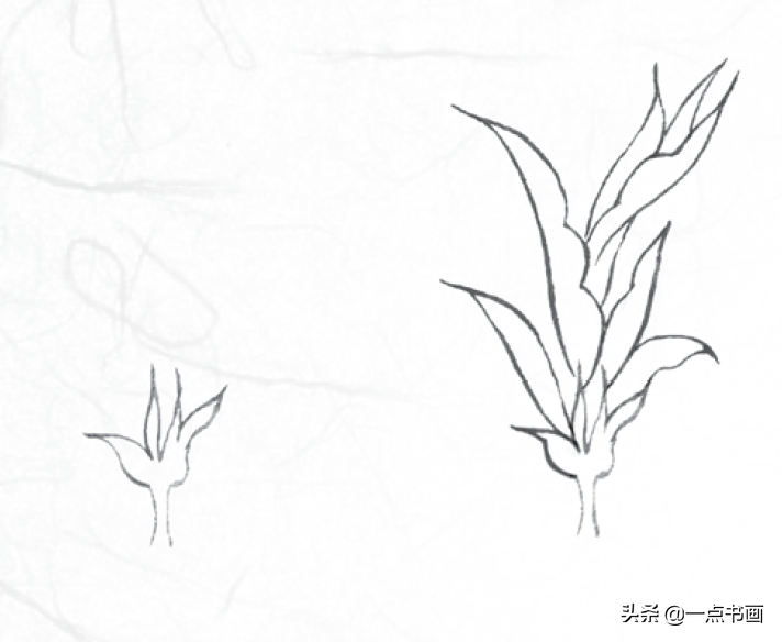 白描玉兰花与桃花画法，简单易上手