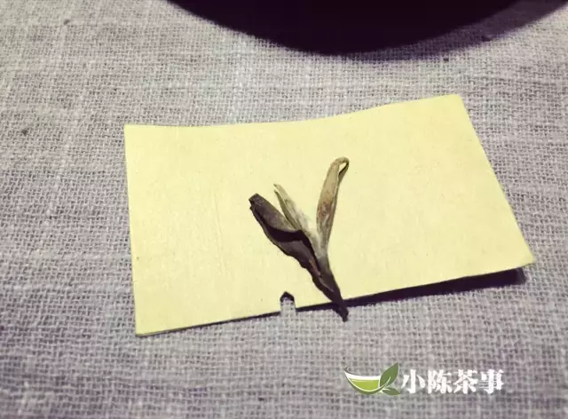 东方美人茶 | 国内唯一一款由英国女皇赐名的茶？