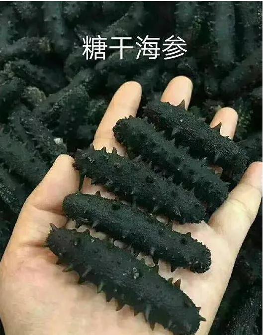 海参什么品种好，有哪些你知道吗？