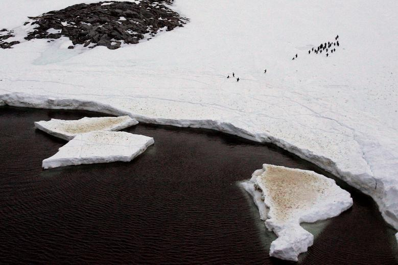 南极最大的冰川正在解体！一个冰川融化，就能让海平面上升3米？