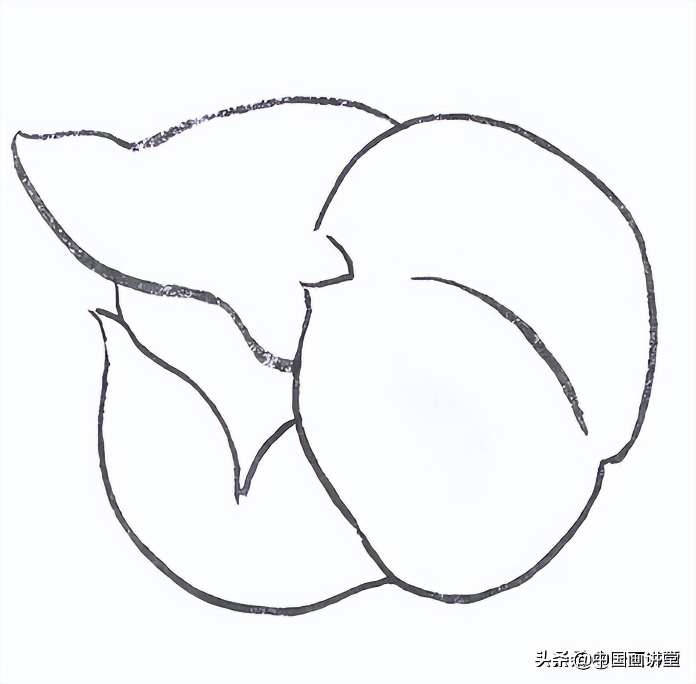 白描玉兰花与桃花画法，简单易上手