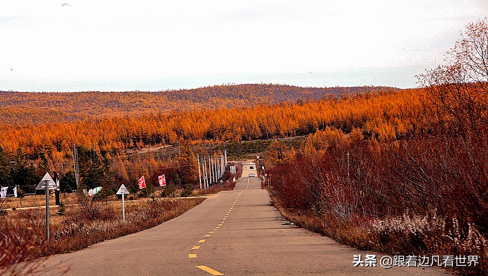 中国最冷的地方——内蒙古呼伦贝尔根河市“冷极村”