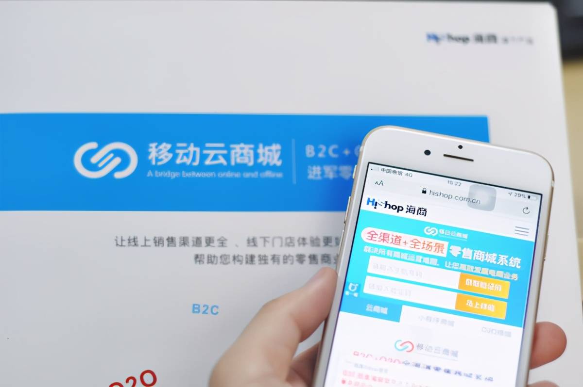 淘宝b2c是什么意思(淘宝属于b2c平台还是属于b2b)