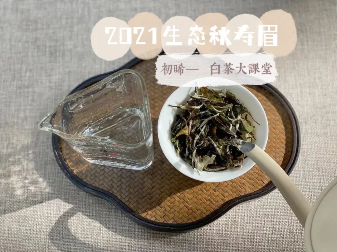 老白茶也分等级？都说老白毫银针比老寿眉值钱，你怎么看？