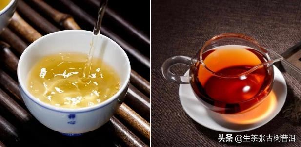 「干货」一分钟教你看懂普洱生茶和熟茶的区别！收藏备用