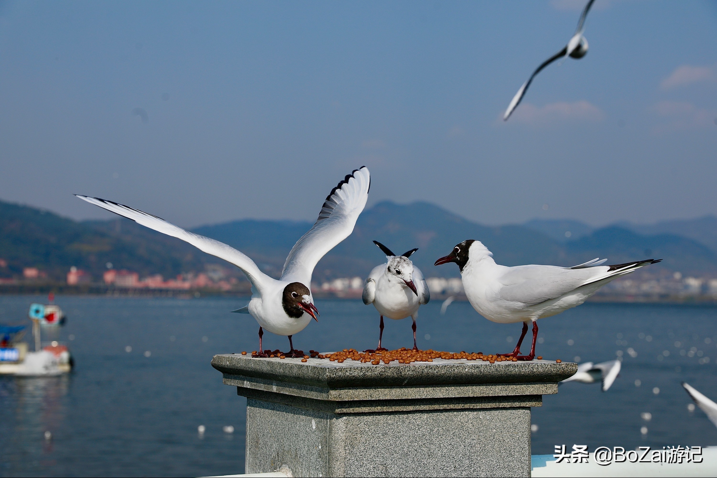 到云南昆明旅游必去的21个景点，你去过几个？最爱哪个景点？