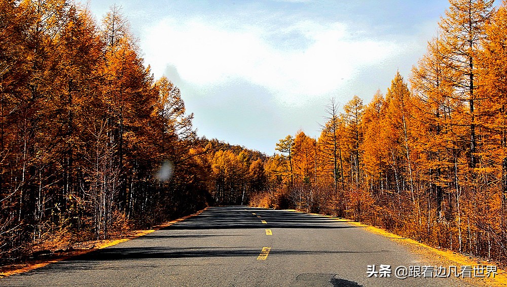 中国最冷的地方——内蒙古呼伦贝尔根河市“冷极村”