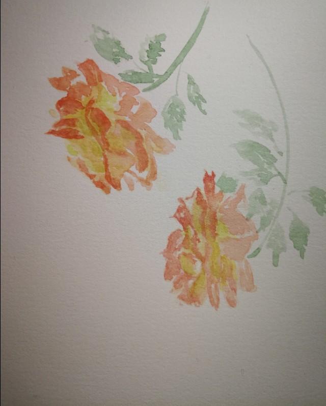 水彩简单画－画朵花儿清理调色盘
