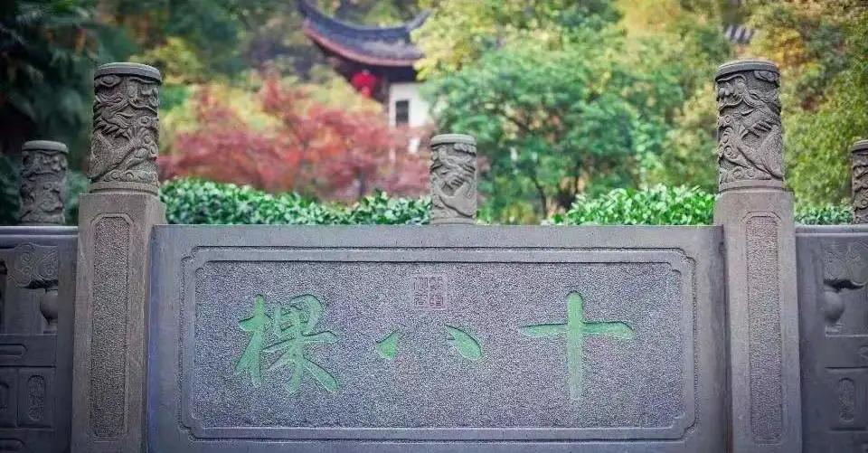 中国最贵的十大天价茶，这喝的还是茶吗？这明明是红票子