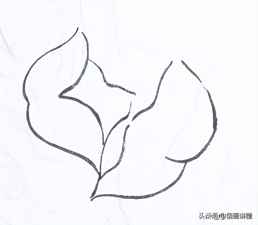 白描玉兰花与桃花画法，简单易上手