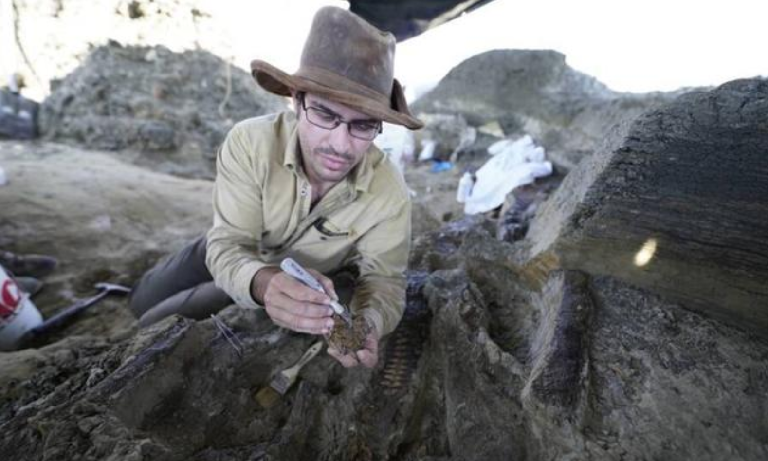恐龙灭绝的新证据！美国发现恐龙遗骸，来自6600万年前大灾难那天