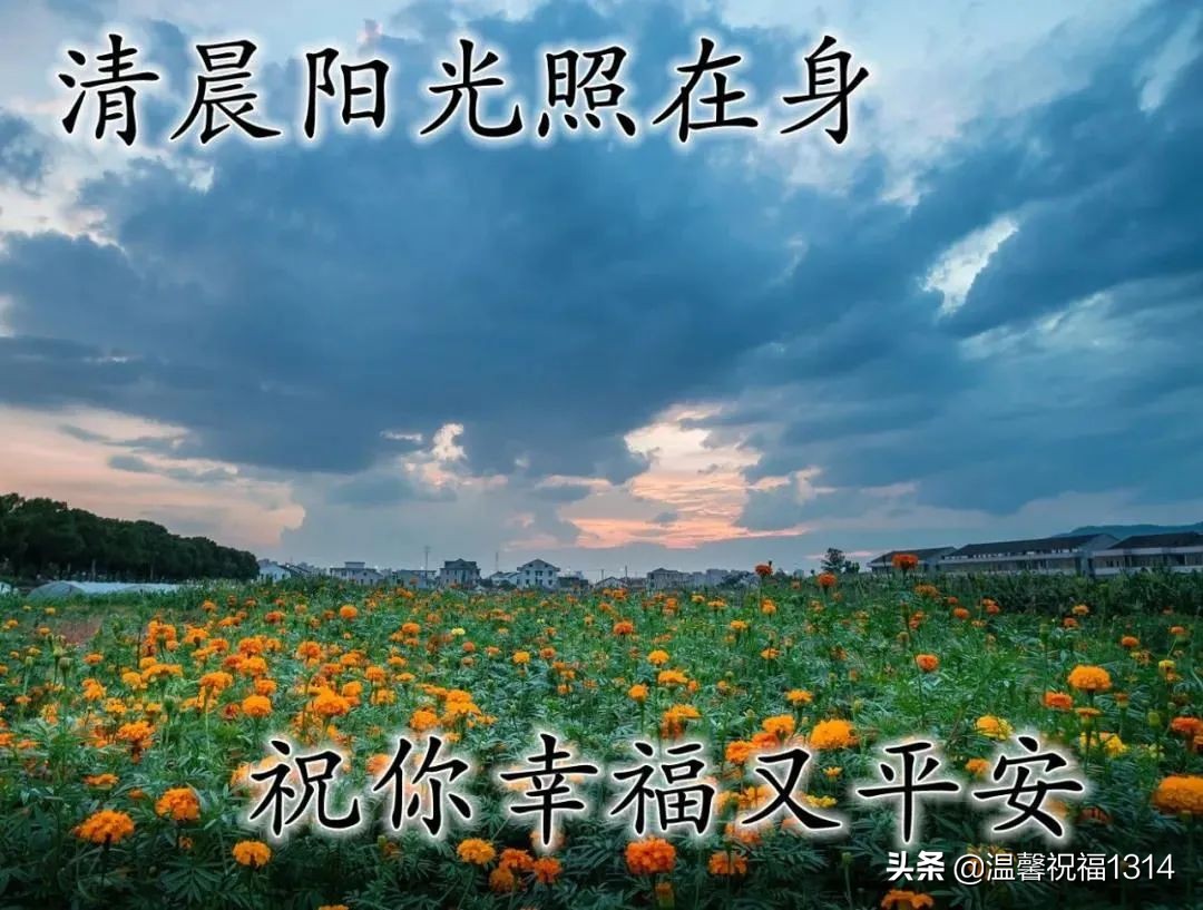 最美夏日风景早上好图片带字带祝福语 漂亮早安问候语图片带字温馨