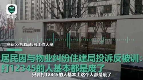 “打12345的人基本上都废了”，雷人雷语“照”出了什么