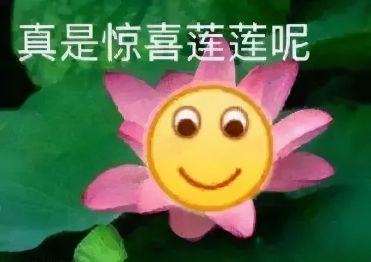 淘宝拍卖，被商家玩成了绿油油的韭菜地