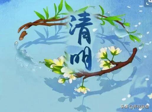清明节就要到了，你知道它的由来和风俗吗？又有哪些注意事项呢？