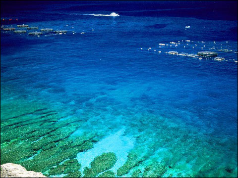 世界上最大的海和最小的海，面积相差450倍