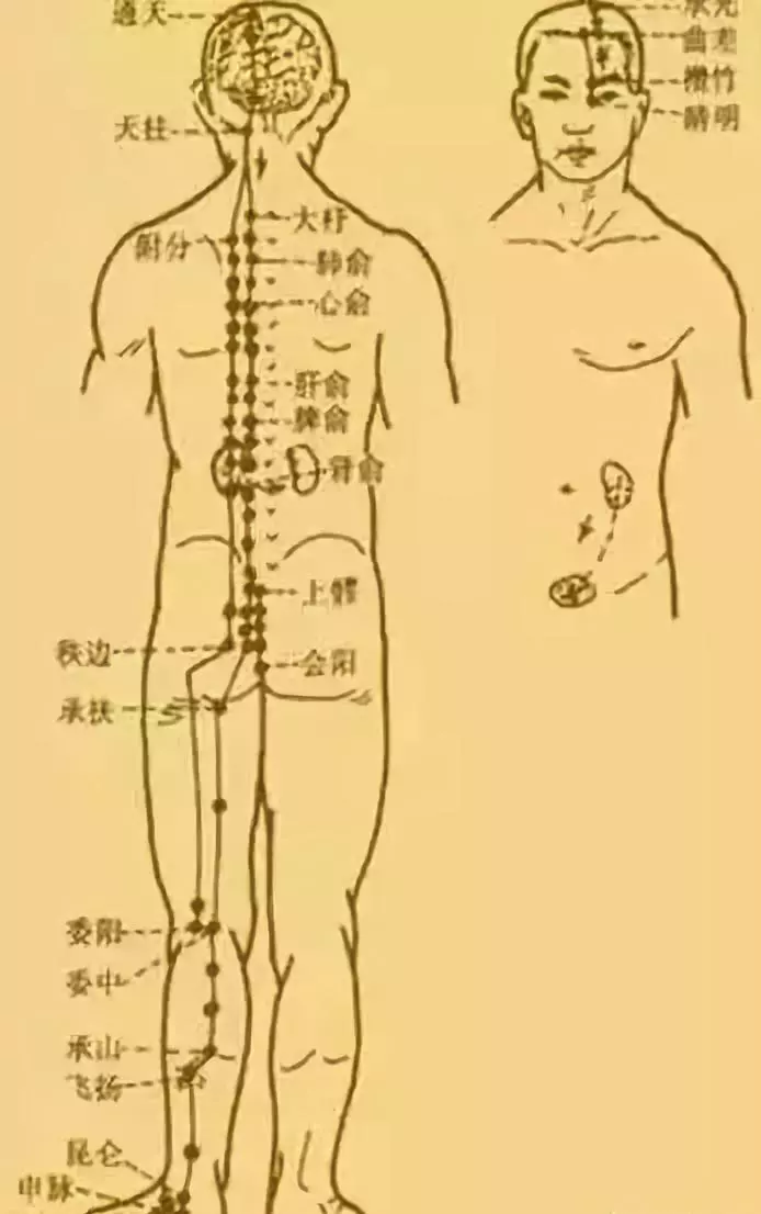 2021年最新“三九”时间表