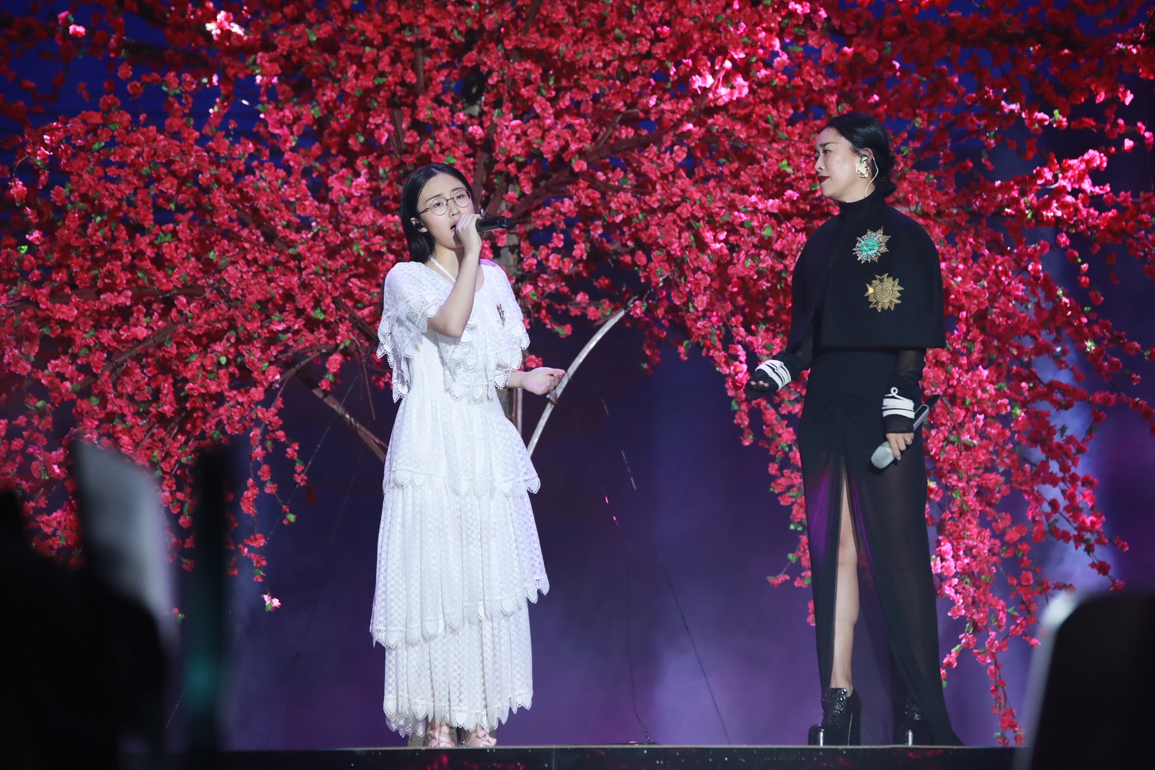 第二季《中国新歌声》那英落败，刘欢组扎西平措成冠军