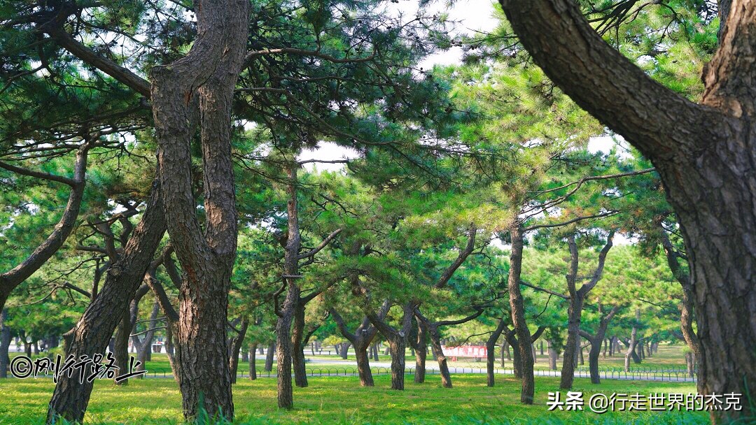 世界上最大的古代祭天建筑群，北京天坛公园