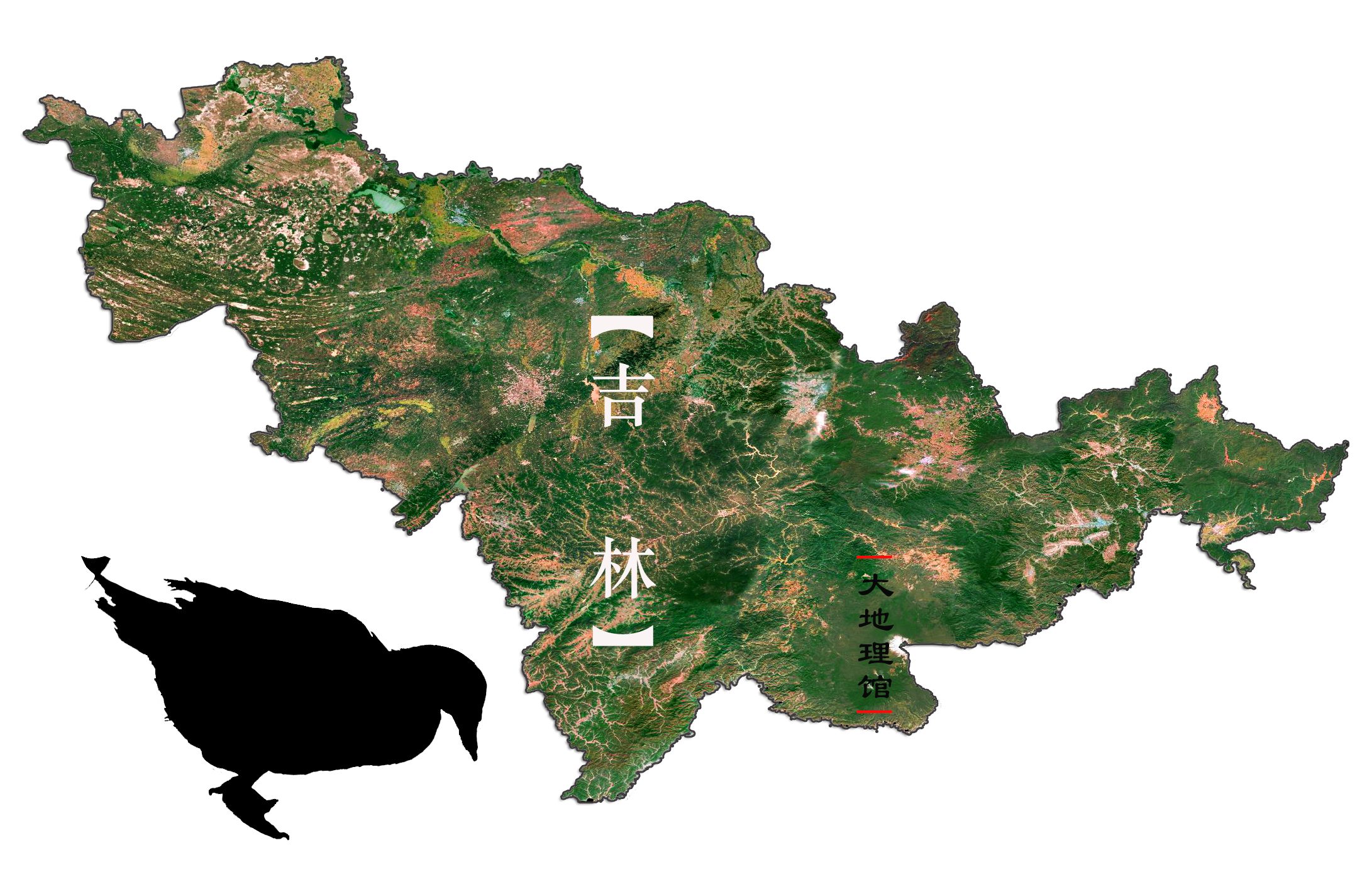东北三省地图：黑龙江像天鹅，吉林像野鸭，辽宁像马头