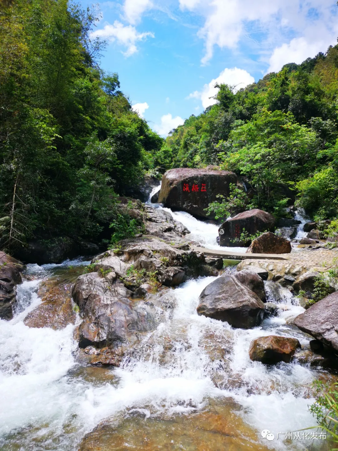 广州从化这个地方入选广东十大最美森林旅游目的地
