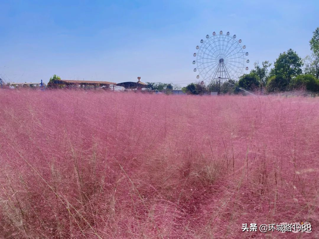 国庆去哪玩，在孝感看这篇就够了