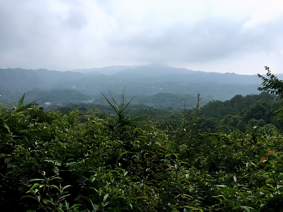 玉林有什么地方好玩？到玉林旅游千万不要错过这些景点