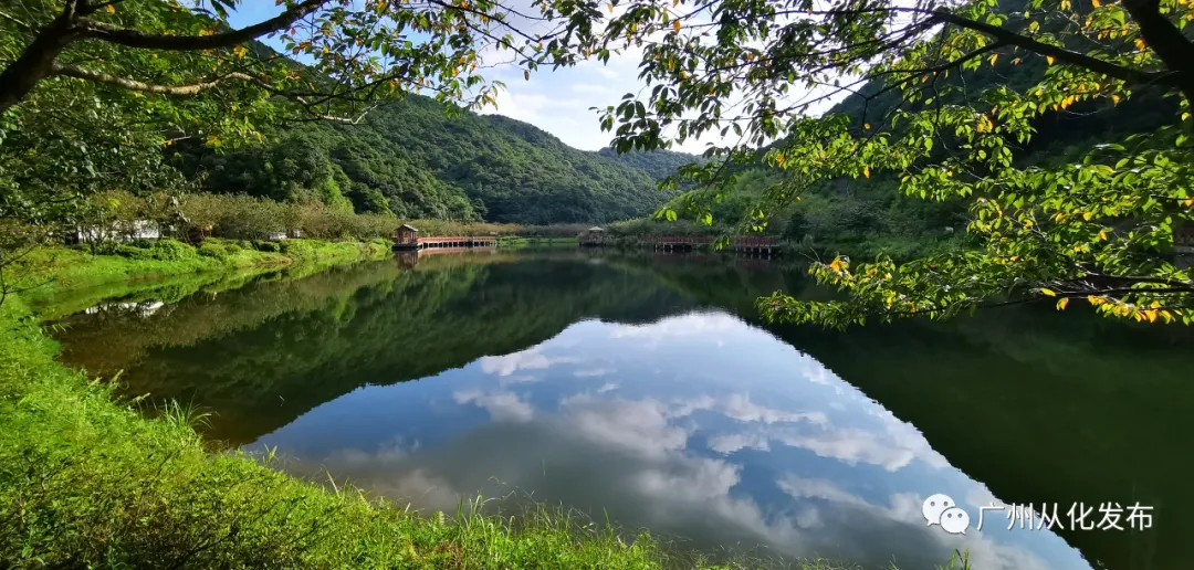 广州从化这个地方入选广东十大最美森林旅游目的地