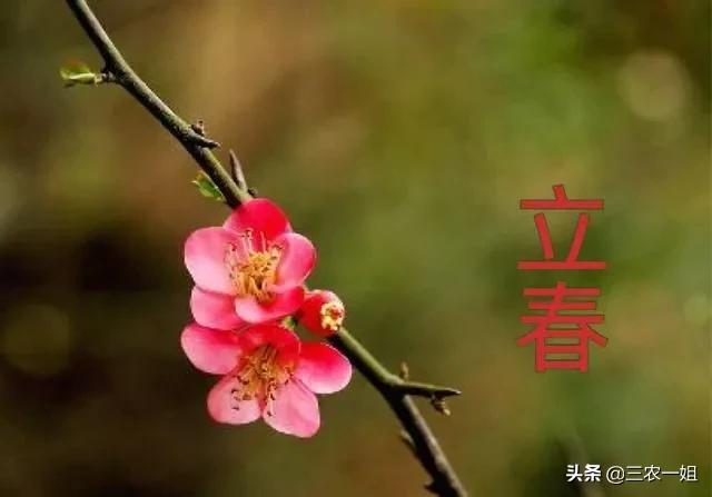 农村老话“立春要躲春，不能床上睡”是啥意思？什么人要躲春？