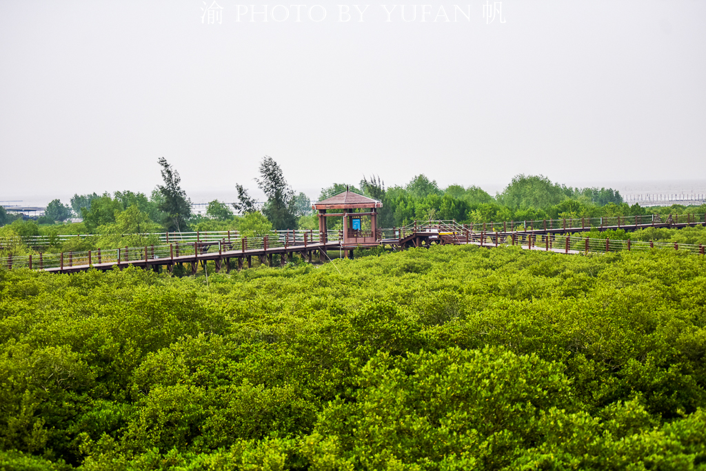 广东海陵岛超级实用的游玩攻略，九大景点不容错过，比三亚还好玩