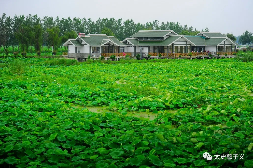 每天一县：江苏省扬州市高邮市